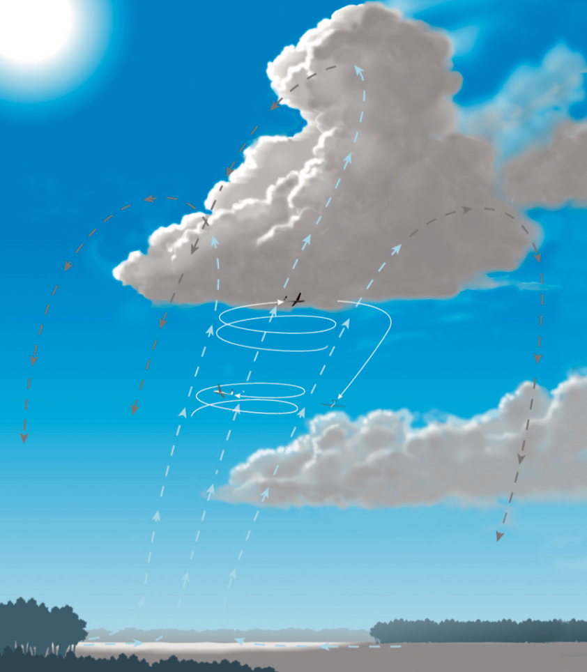 7.3.x Thermik und Thermikflug